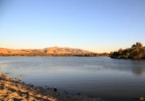 Fremont Central Park